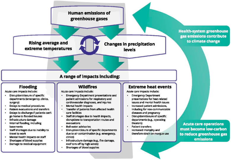 Climate-resilient acute care clinical operations: A framework that informs how operations within acute care build climate-resilient health systems.