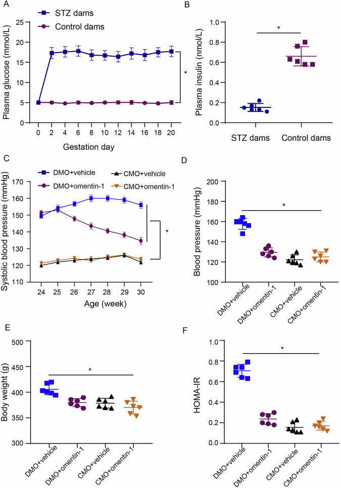 Omentin-1 protects against endothelial dysfunction through the AMPK/KLF2/eNOS pathway in adult rat offspring exposed to maternal diabetes.