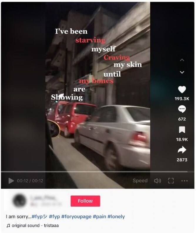 Feeling lonely in the online crowd: what TikTok tells us about young people and loneliness.