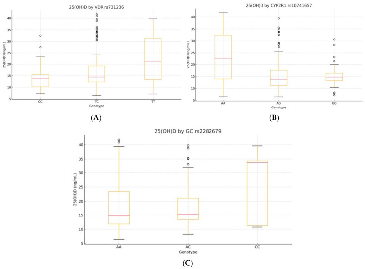 The Association of <i>VDR</i>, <i>CYP2R1</i>, and <i>GC</i> Gene Polymorphisms, Dietary Intake, and BMI in Regulating Vitamin D Status.