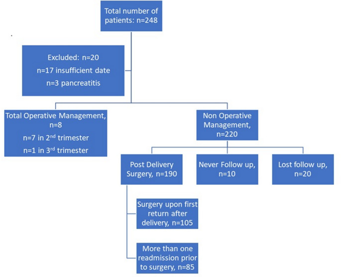 Between guidelines and reality; the complex decision-making of acute cholecystitis in pregnancy.