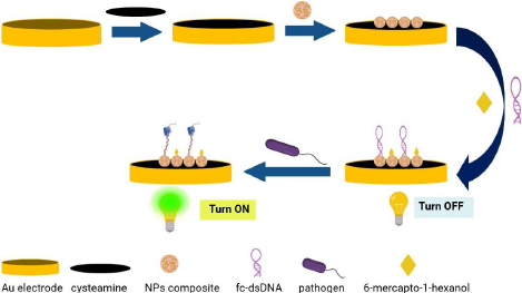Nano-modified biosensors for detection of pathogenic diseases: The prospect of smart, multiplex and point-of-care testing.