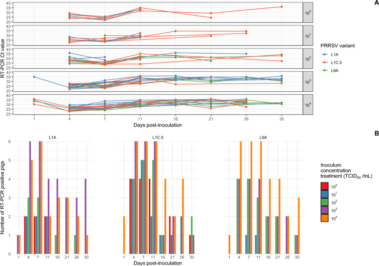 Evaluation of the infectivity of three porcine reproductive and respiratory syndrome virus (PRRSV) variants.