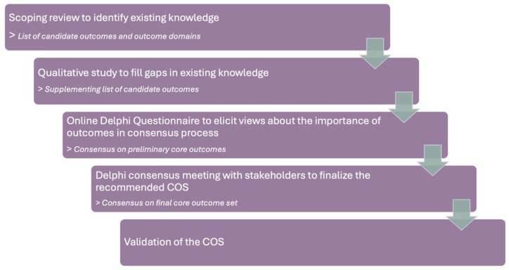 The development of a core outcome set for evaluating and enhancing palliative sedation in clinical research and practice: The COSEDATION study protocol.