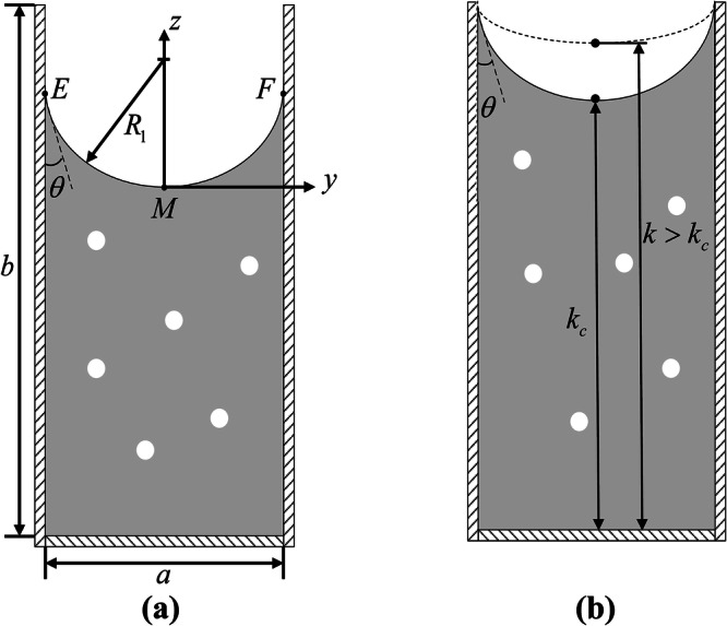 Free surface bubbly flow in an open capillary channel.