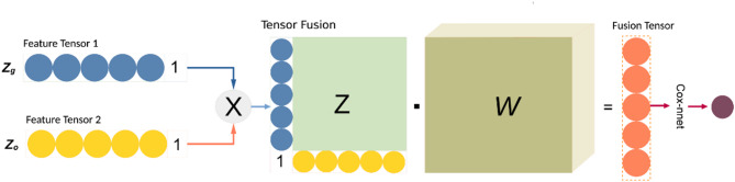 Decision level scheme for fusing multiomics and histology slide images using deep neural network for tumor prognosis prediction.