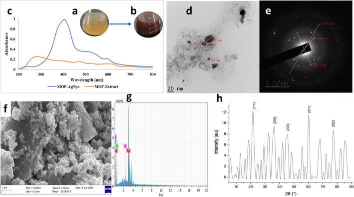 Antimicrobial potential of floral extract-decorated nanoparticles against food-borne pathogens.