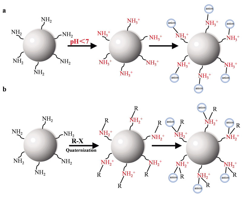 [Research progress in polyamide-amine dendrimer functionalized ionic separation media].
