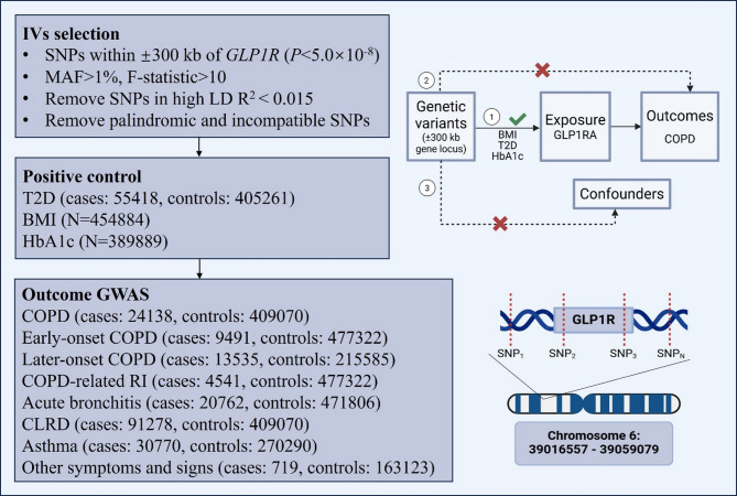Association of GLP1RAs with risk of chronic obstructive pulmonary disease: evidence from drug target Mendelian randomization.