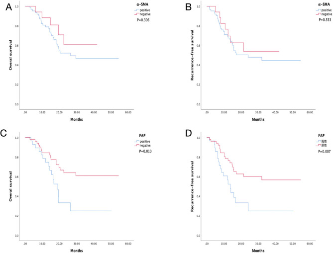 Association of α-SMA/FAP-positive cancer-associated fibroblasts with clinicopathological features and prognosis in extrahepatic cholangiocarcinoma.