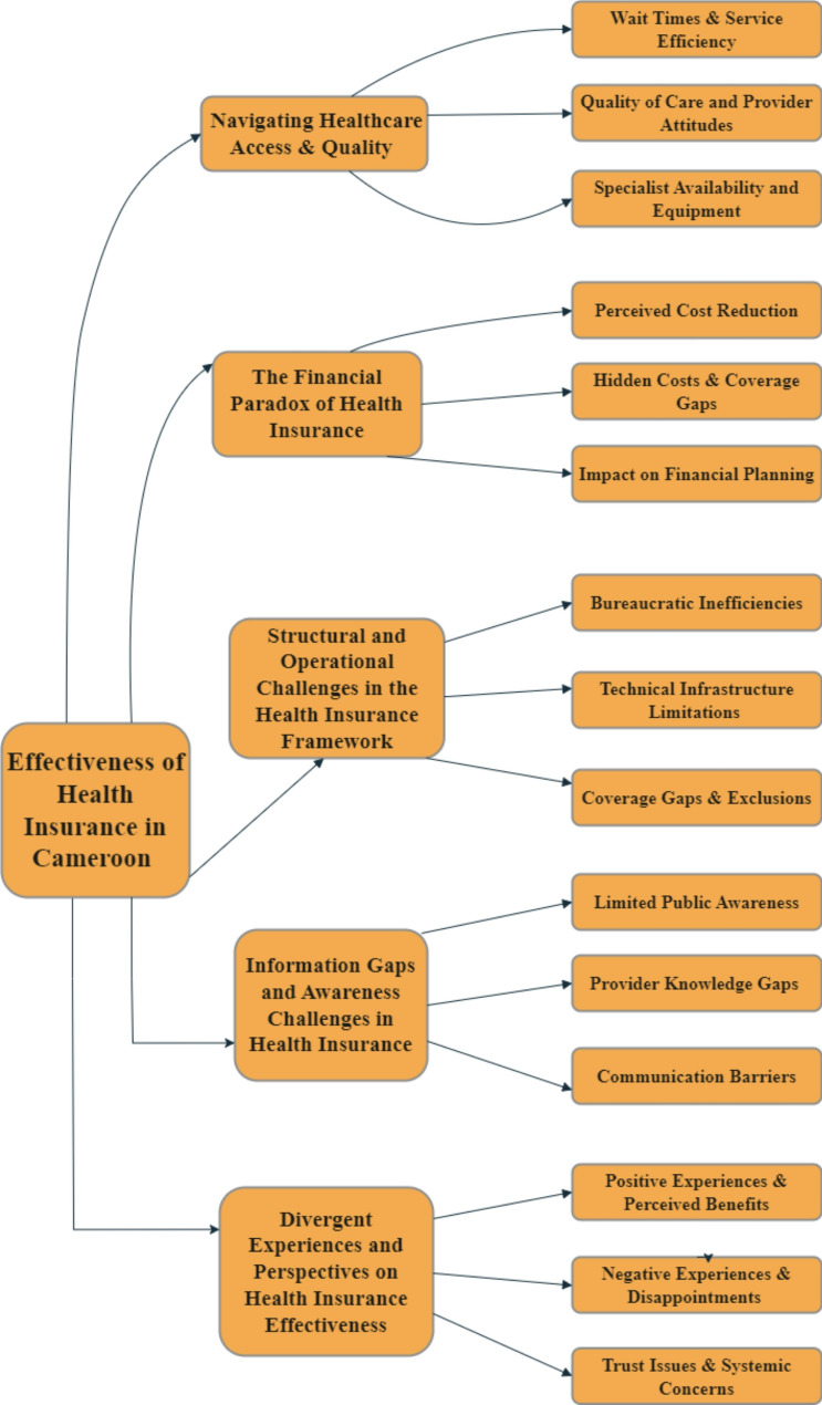 Exploring patient and provider perspectives on health insurance effectiveness in cameroon: a qualitative study.