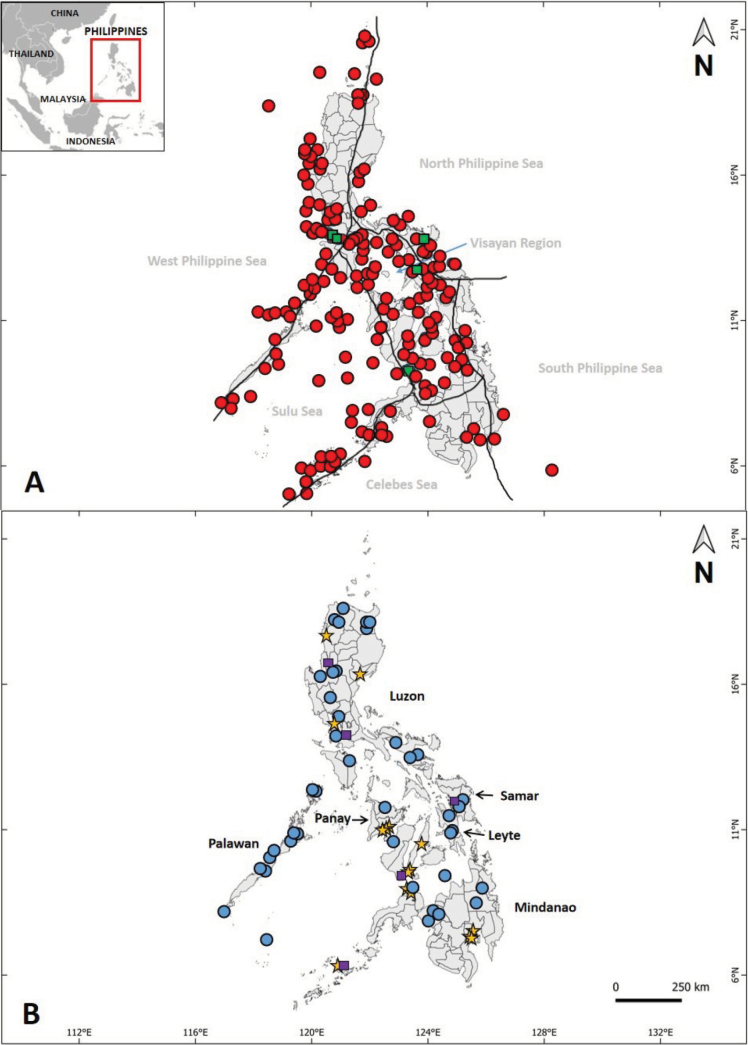 ﻿An annotated checklist of fish species described from the Philippines.