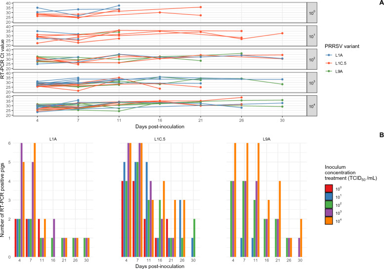 Evaluation of the infectivity of three porcine reproductive and respiratory syndrome virus (PRRSV) variants.