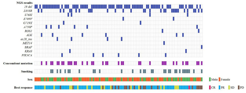 Differential Responses to Targeted Therapies in Non-Small Cell Lung Cancer: A Comparative Analysis of Outcomes in Patients with Single EGFR Mutation and Concurrent Gene Alterations.