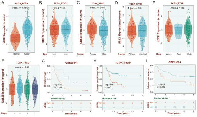 UBC9 overexpression promotes proliferation and metastasis in gastric cancer via ATF2.