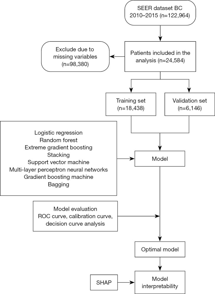 SEER-based machine learning prediction of bone metastasis in breast cancer: model development and validation.