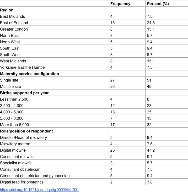 A mapping survey of digital clinical consultations in maternity care in England.
