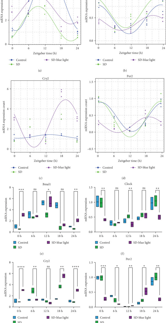 ipRGCs Sensitive Blue Light Exposure Promotes the Robustness of Circadian and Neural Stem Cells in Sleep Deprived Conditions.