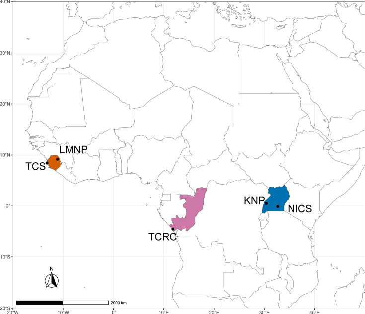 Distribution and prevalence of <i>Sarcina troglodytae</i> in chimpanzees and the environment throughout Africa.