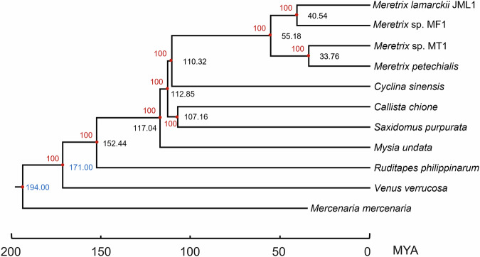 High-quality chromosome-level genome of three Meretrix species using Nanopore and Hi-C technologies.