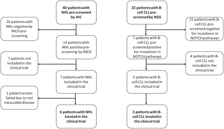 Notch pathway inhibition with crenigacestat (LY3039478) in a phase I first-in-human clinical trial for patients with relapsed or refractory non-Hodgkin lymphoma and B-cell chronic lymphocytic leukemia.