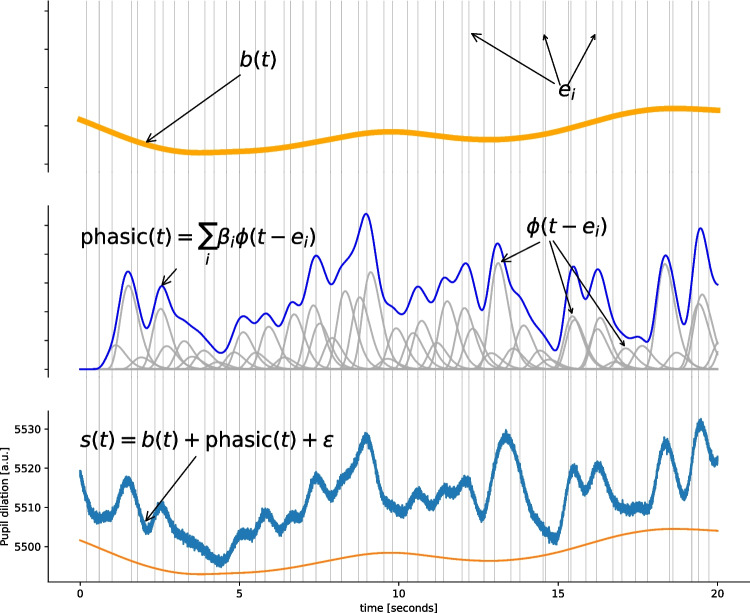 A novel method for modeling tonic and phasic pupil dynamics in humans.