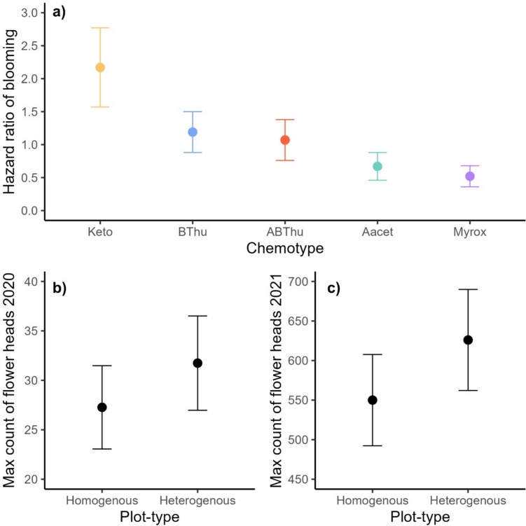 Chemotype, maternal genotype, or field neighbors: what influences performance and resource allocation in a perennial plant species the most?