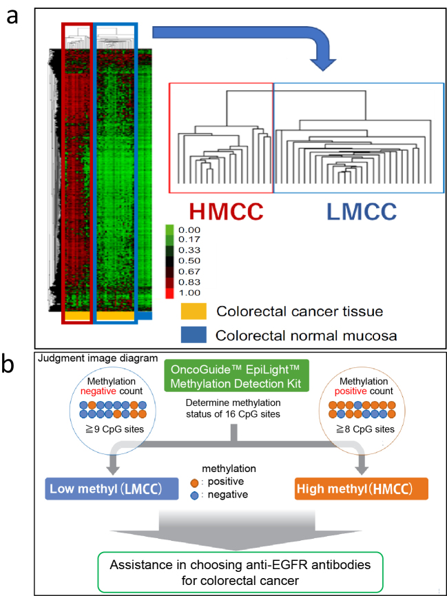 Development of the World's First In Vitro Cancer Epigenome Diagnostic through Biomarker Research for Personalized Cancer Treatment of RAS-wild-type Colorectal Cancer -Secondary Publication - Secondary Publication.