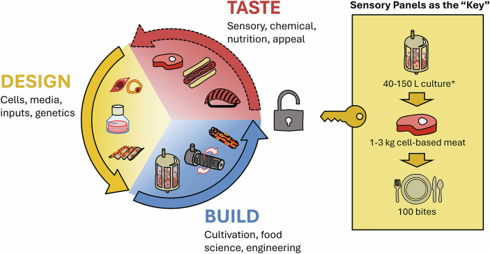 Meating the moment : Challenges and opportunities for cellular agriculture to produce the foods of the future.