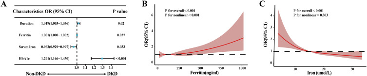 Urinary Ferritin as an Early Indicator of Tubular Injury in Diabetic Kidney Disease: Insights from NHANES and Clinical Cohorts.