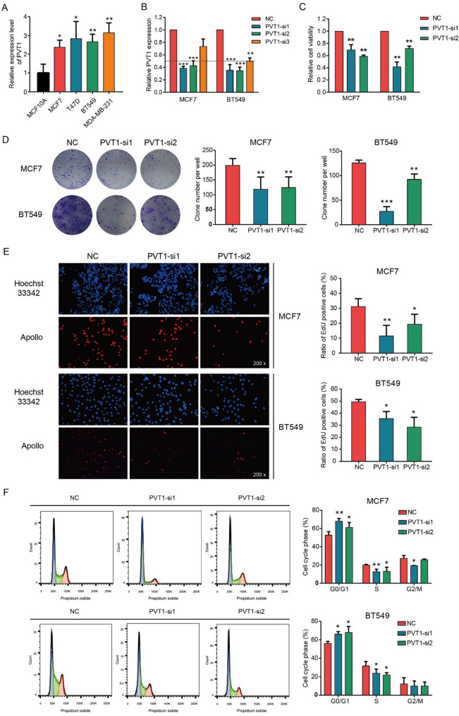 Knockdown of PVT1 inhibits cell proliferation in luminal and basal-like breast cancer subtypes by activating LATS2/Hippo signaling pathway.