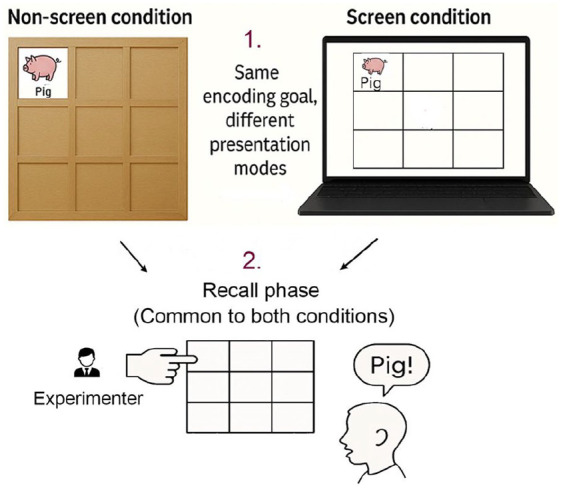 Effects of screen-based task learning and geographical environment on the cognitive performance of primary school students: Assessment of working memory.