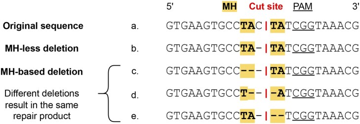 X-CRISP: domain-adaptable and interpretable CRISPR repair outcome prediction.