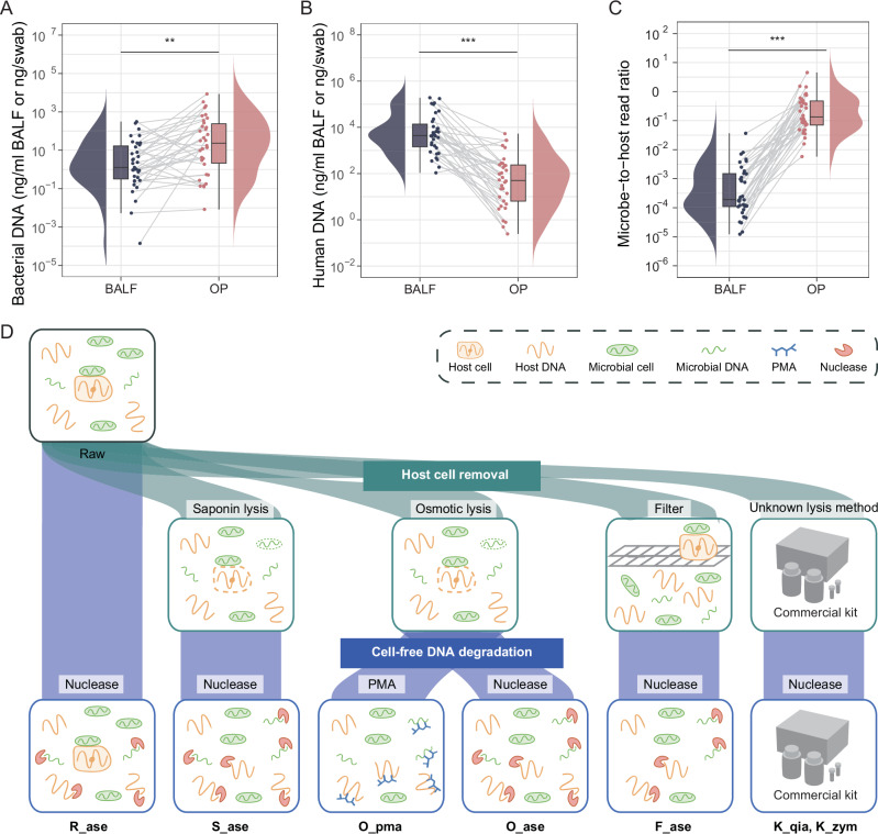 Benefits and challenges of host depletion methods in profiling the upper and lower respiratory microbiome.