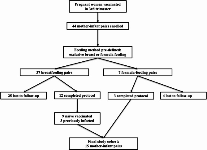 BM study: a monocentric prospective observational cohort study on neonatal humoral immunity against COVID-19 secondary to transplacental antibody transfer and breastfeeding.