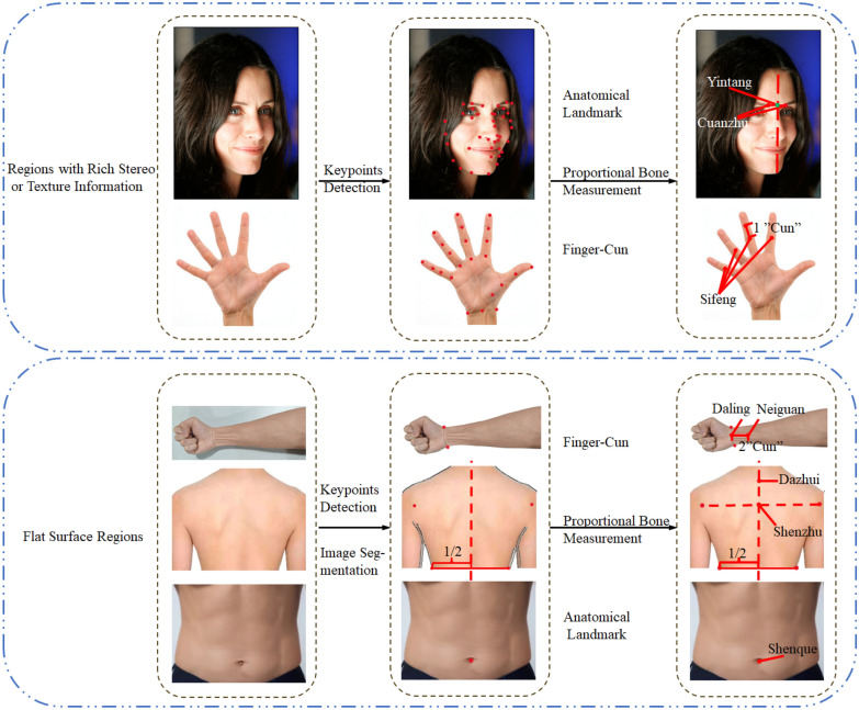 A review of acupoint localization based on deep learning.