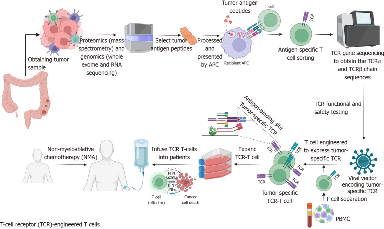 Adoptive cell therapy in colorectal cancer: Advances in chimeric antigen receptor T cells.