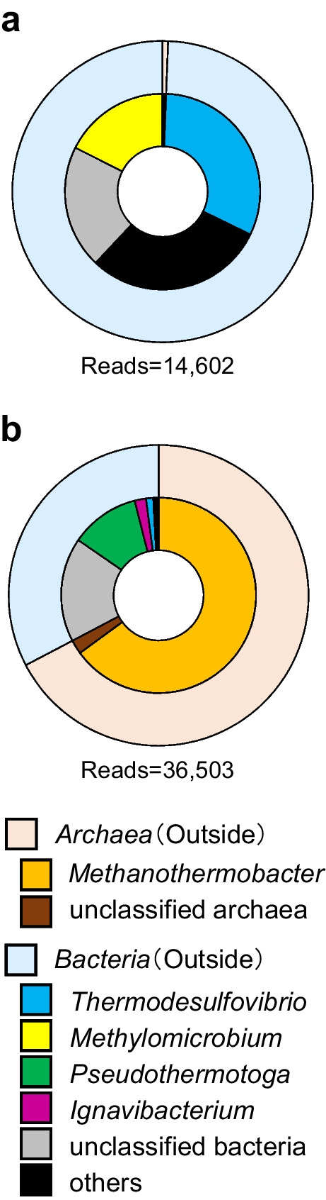 Role of organic acid-degrading bacteria in a microbial methanation system using a subterranean microbial community.