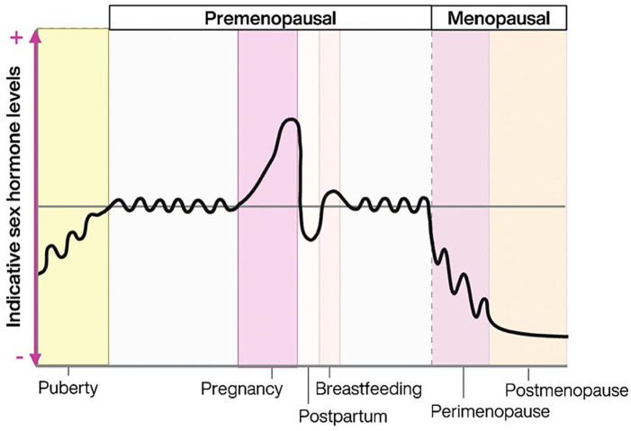 ADHD and Sex Hormones in Females: A Systematic Review.