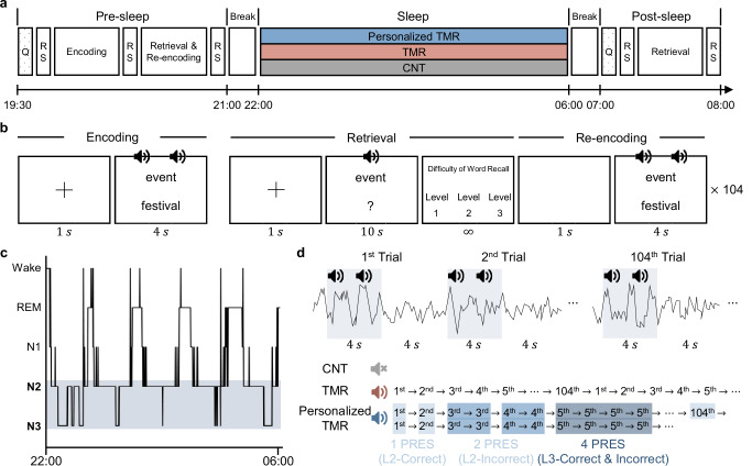 Personalized targeted memory reactivation enhances consolidation of challenging memories via slow wave and spindle dynamics.