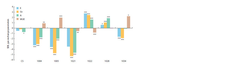 Drought tolerance of the photosynthetic apparatus of bread wheat (Triticum aestivum L.) lines with introgressions in chromosome 2D from Aegilops tauschii Coss.