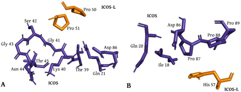 Directed evolution and modular integration of a high-affinity ICOS-L variant for potent T cell-mediated tumor elimination.