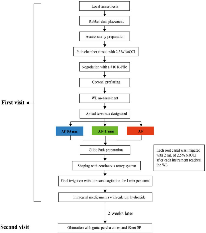 The effect of three different apical termini on postoperative pain in teeth with irreversible pulpitis: a prospective clinical study.