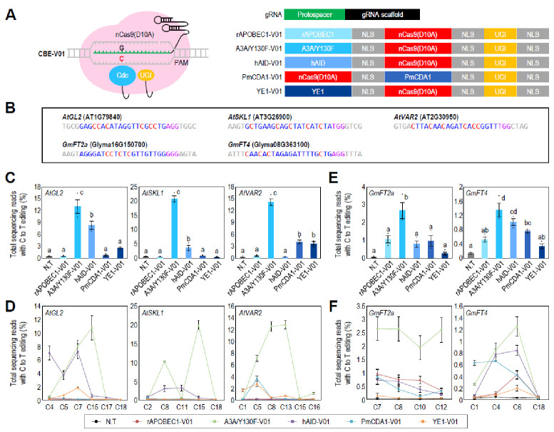 Identification of optimal adenine and cytosine base editors for genome editing in Arabidopsis and soybean.