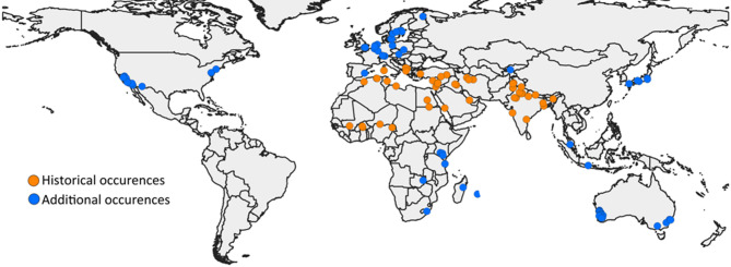 Increasing global risk of khapra beetle invasion forecasted under projected environmental conditions.
