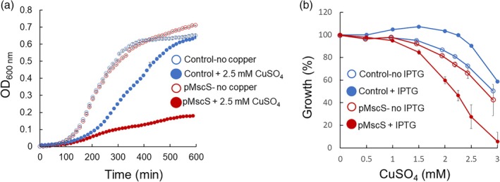 Prokaryotic mechanosensitive channels mediate copper influx.