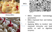 Application of Green Cobalt Nanoparticles in the Diet of Broiler Chickens to Improve Sustainable Production and Health.