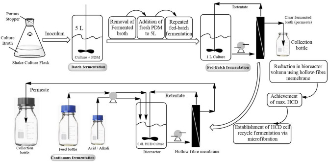 Sustainable lactic acid production from agricultural waste: a review of current techniques, challenges and future directions.