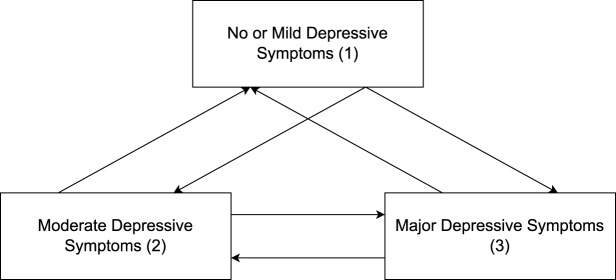 Experience of financial hardship and depression: a longitudinal population-based multi-state analysis.