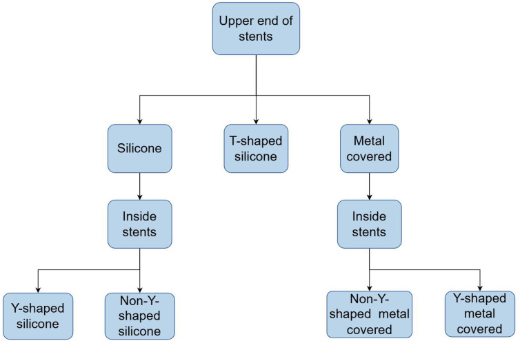 Science progress distinguishing different types of airway stents under bronchoscopy by artificial intelligence.